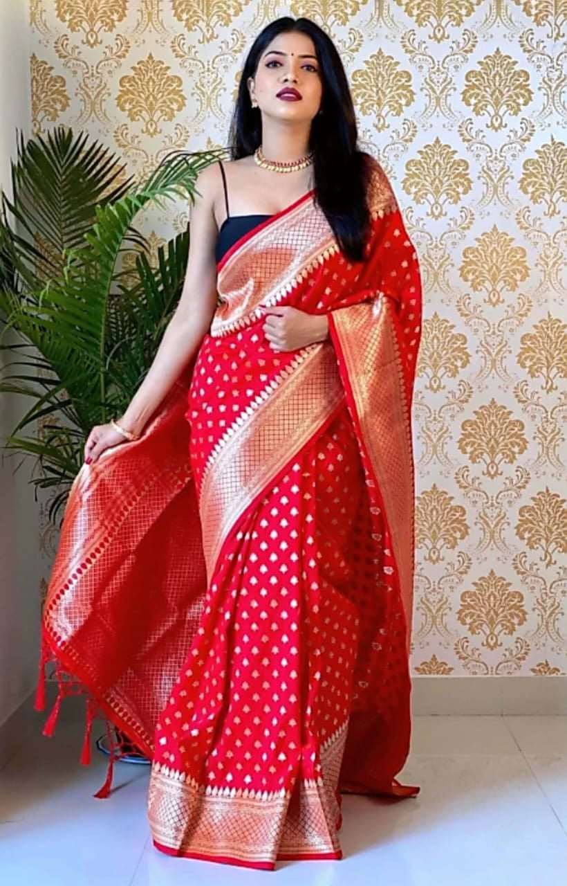 Ailurophile Red Soft Silk Saree With Palimpsest Blouse Piece - Colorful Saree