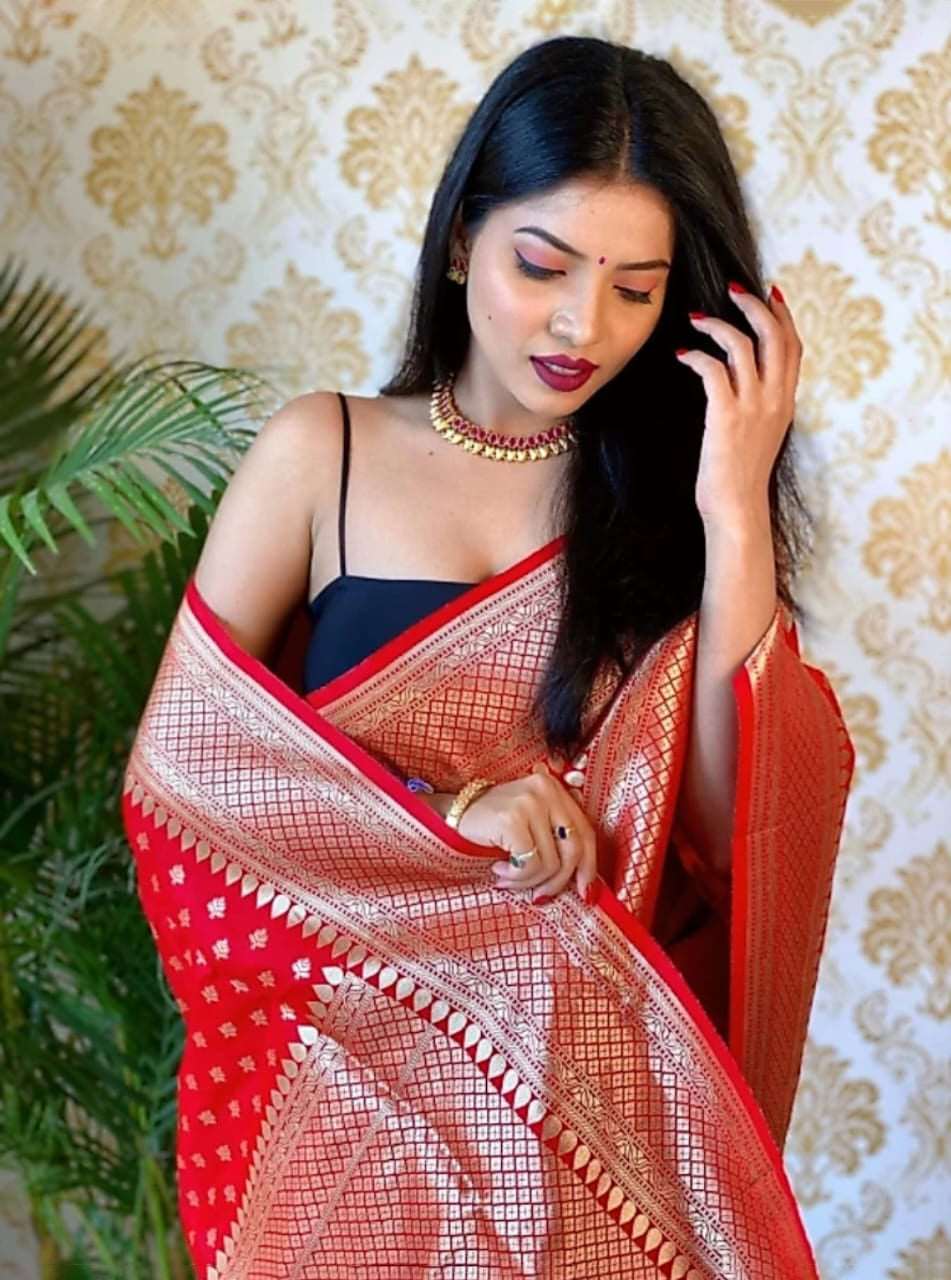 Ailurophile Red Soft Silk Saree With Palimpsest Blouse Piece - Colorful Saree