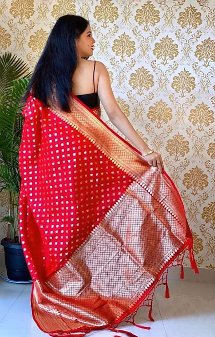 Ailurophile Red Soft Silk Saree With Palimpsest Blouse Piece - Colorful Saree