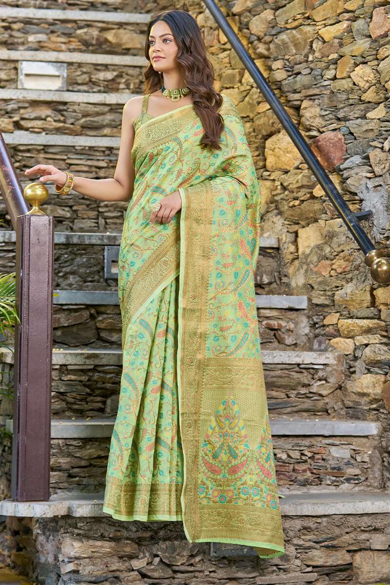 Adoring Pista Pashmina saree With Gratifying Blouse Piece - Colorful Saree