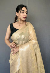 Chickoo color Saree in Cotton Muslin - Colorful Saree