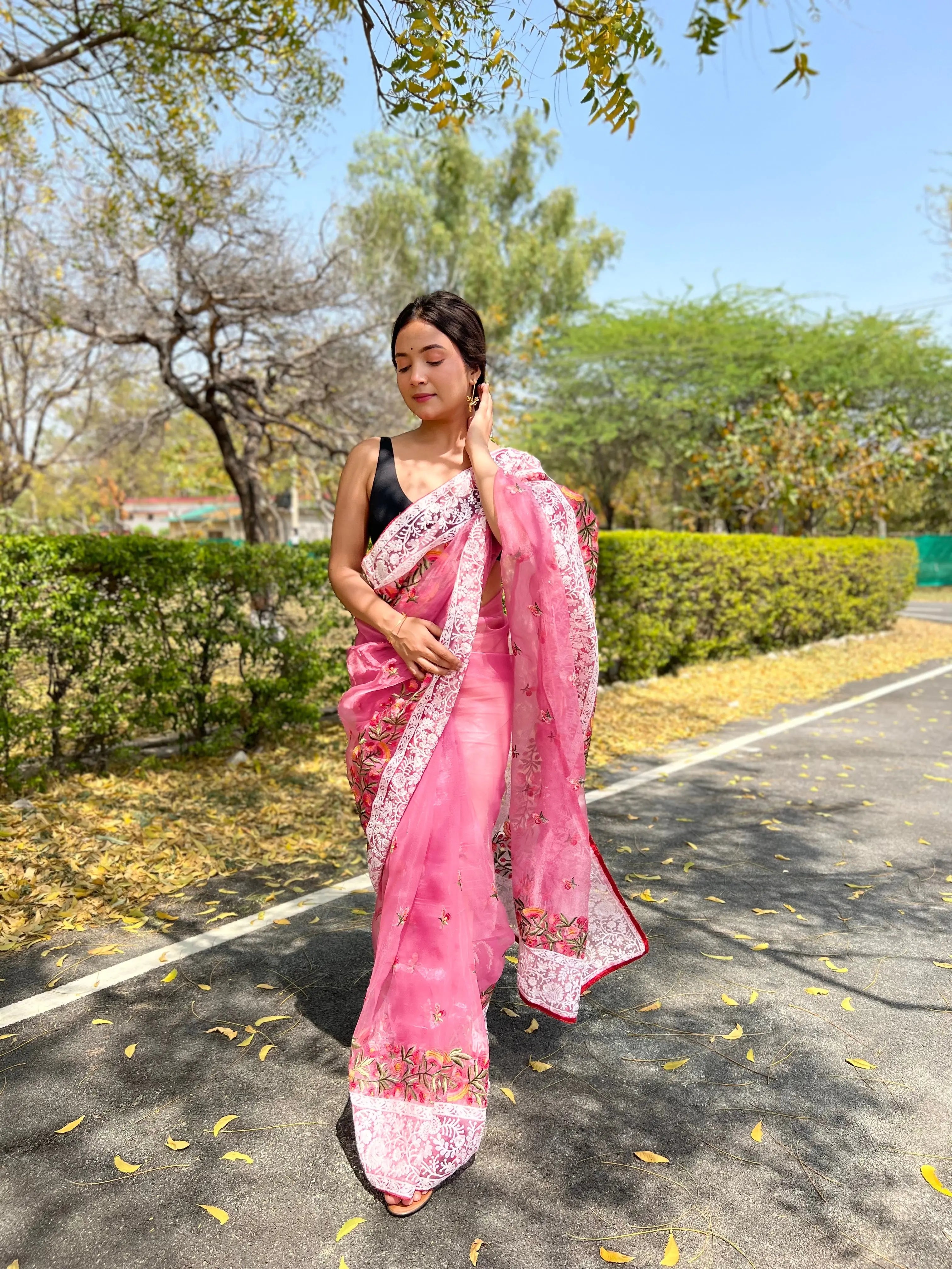 Organza Lucknowi Chikankari Multicolor Viscose Work Saree Pink - Colorful Saree