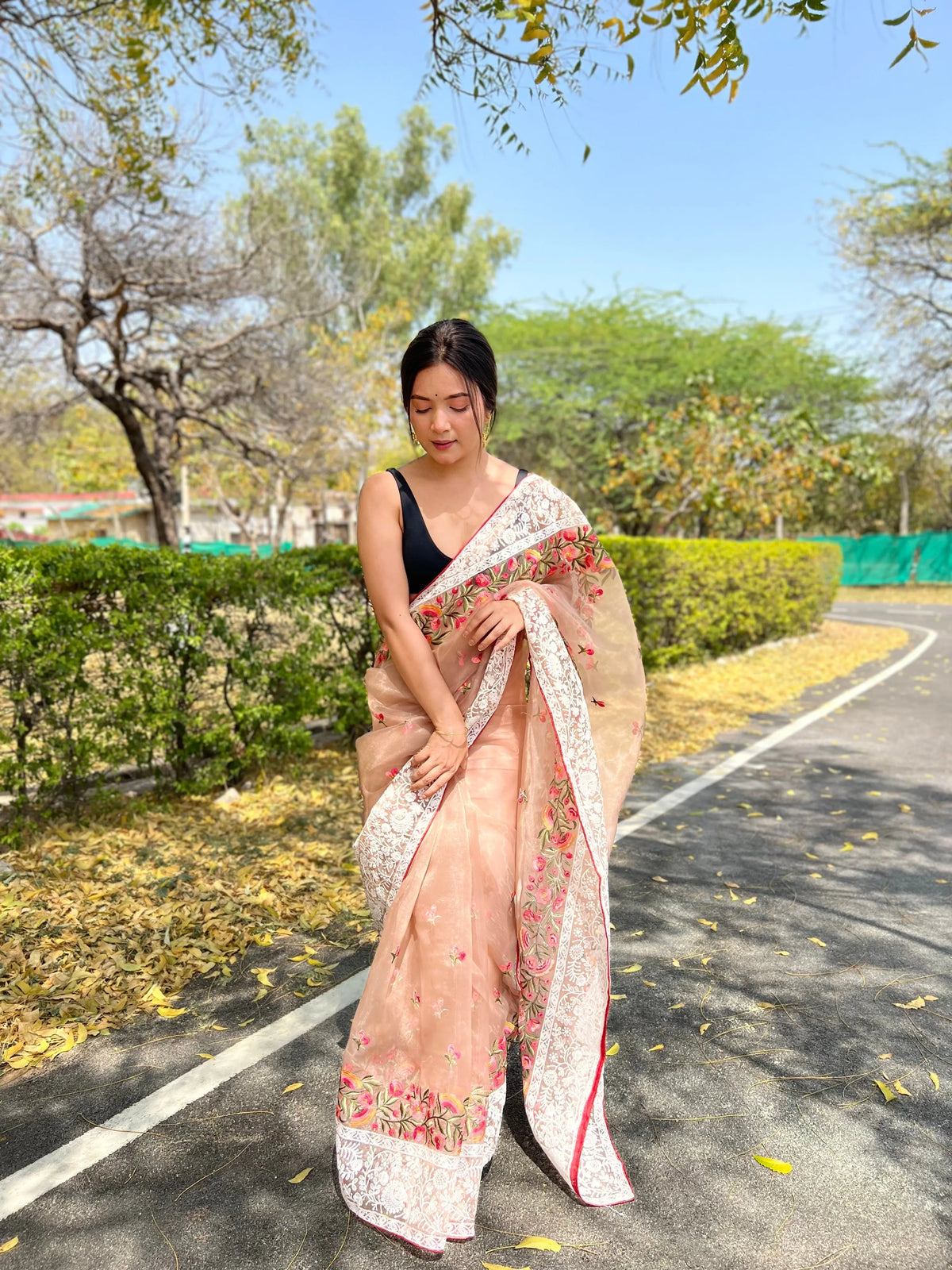 Organza Lucknowi Chikankari Multicolor Viscose Work Saree Taupe - Colorful Saree