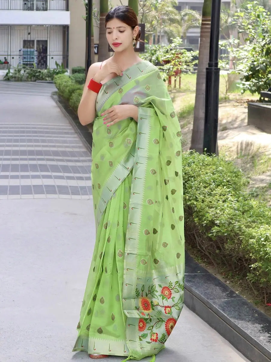 Parineeti Paithani Organza Woven Saree Pista Green - Colorful Saree