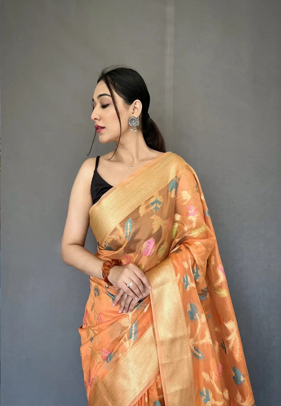 Peach Barfi Organza Silk Woven Saree - Colorful Saree