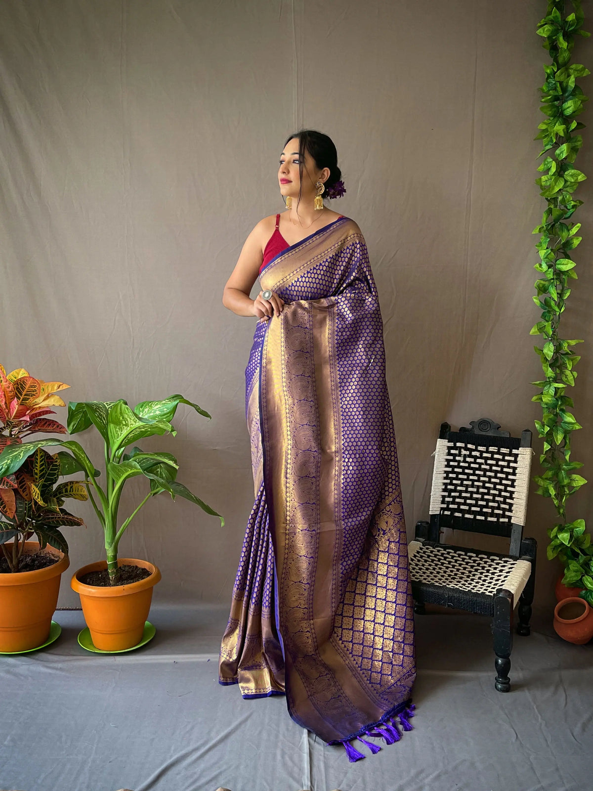 Pure Kanjeevaram Silk #2 Violet - Colorful Saree