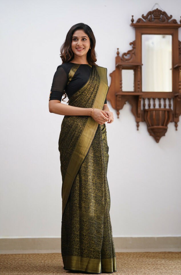 Banarasi Soft Silk Black Saree with Matching Blouse Piece Colorful Saree