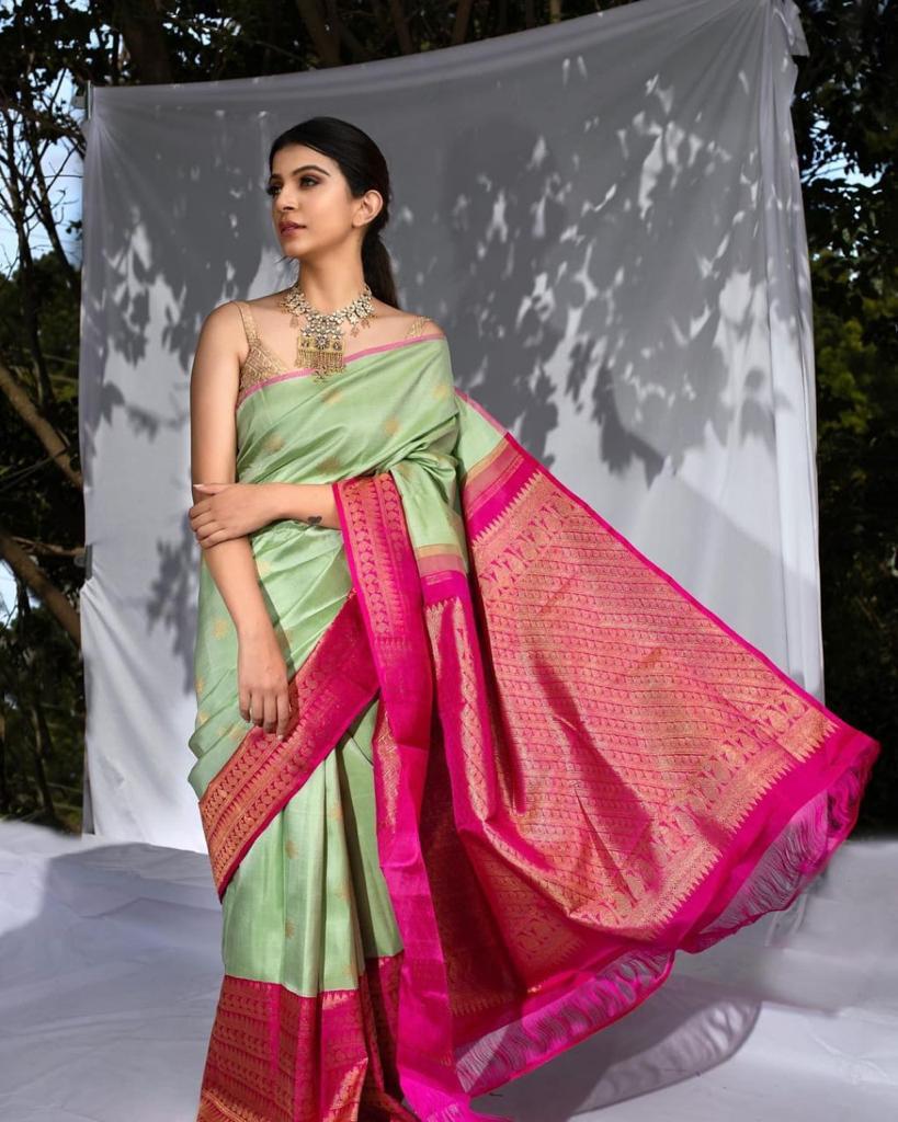 Banarasi Soft Silk Saree with Exquisite Gold Zari Weaving Colorful Saree