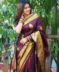 Banarasi Soft Silk Saree with Gold Zari Weaving Colorful Saree