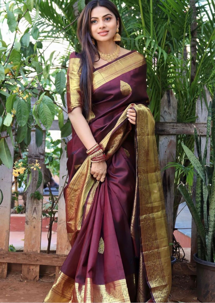 Banarasi Soft Silk Saree with Gold Zari Weaving Colorful Saree