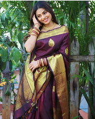 Banarasi Soft Silk Saree with Gold Zari Weaving Colorful Saree