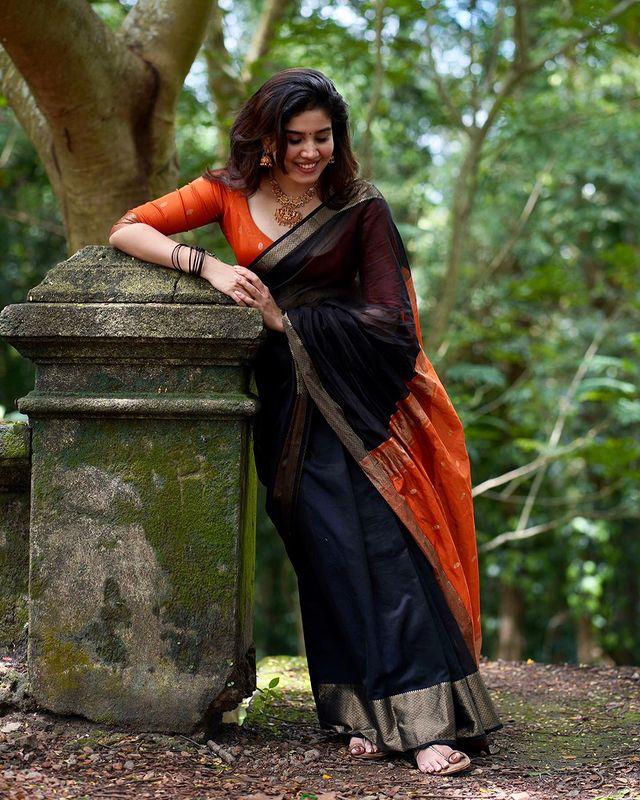 Pure Banarasi Soft Silk Black Saree with Brocade Blouse Colorful Saree