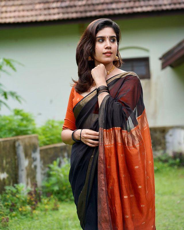 Pure Banarasi Soft Silk Black Saree with Brocade Blouse Colorful Saree