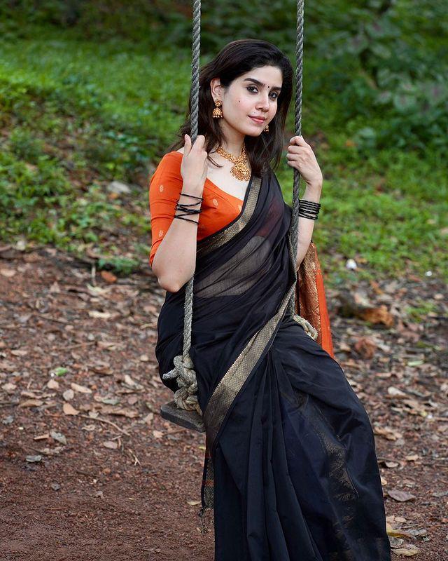 Pure Banarasi Soft Silk Black Saree with Brocade Blouse Colorful Saree