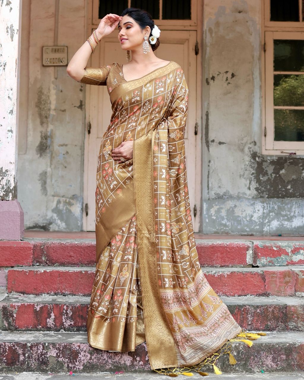 Pure Silk Digital Printed Light Brown Saree with Brocade Blouse Colorful Saree