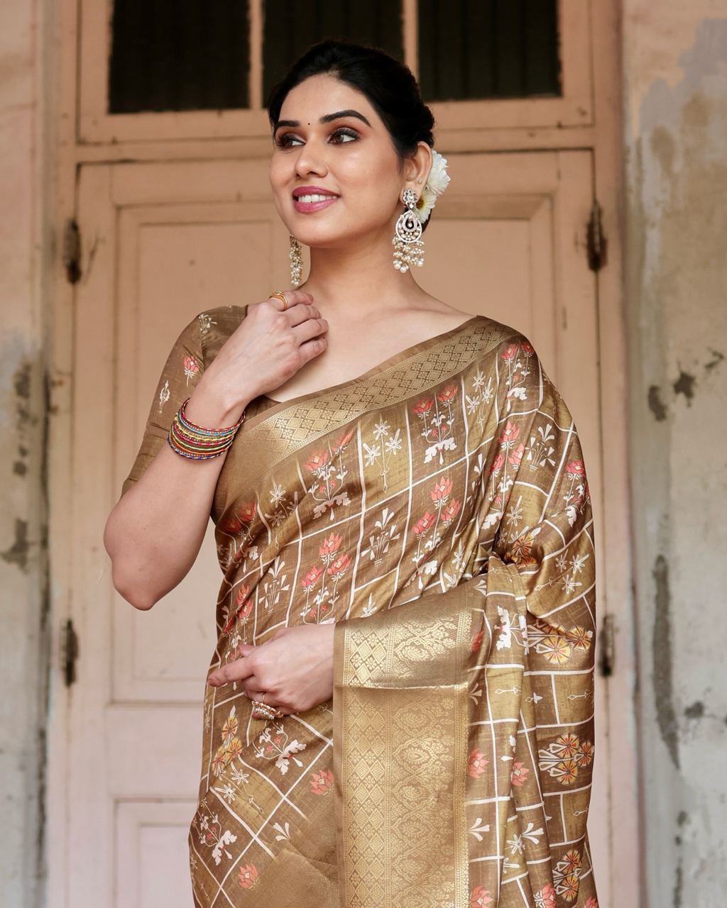 Pure Silk Digital Printed Light Brown Saree with Brocade Blouse Colorful Saree