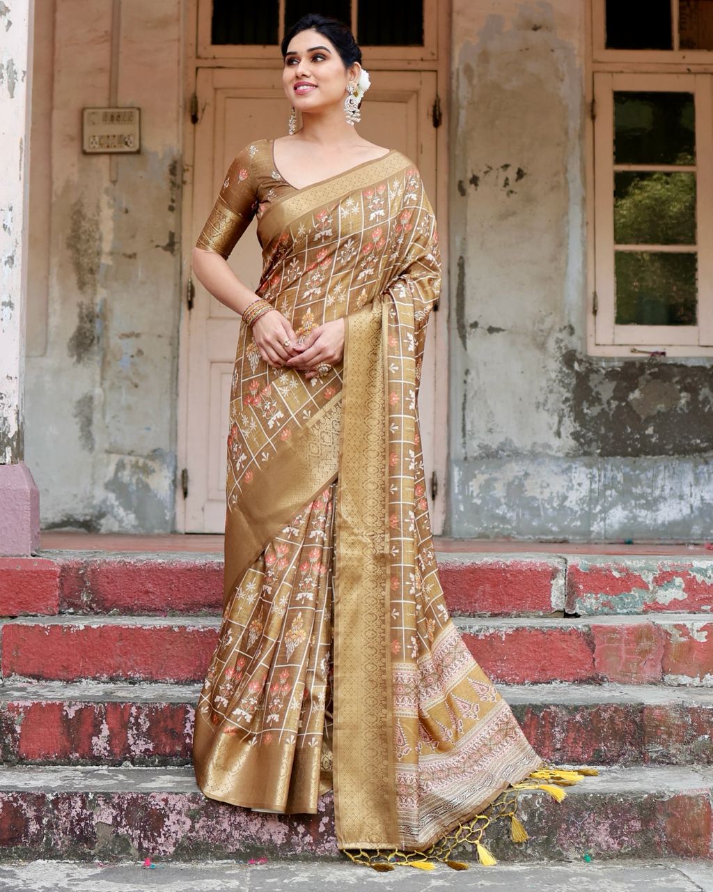 Pure Silk Digital Printed Light Brown Saree with Brocade Blouse Colorful Saree