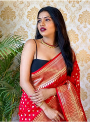 Ailurophile Red Soft Silk Saree With Palimpsest Blouse Piece - Colorful Saree