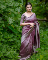Desultory Brown Soft Kanjivaram Silk Saree With Diaphanous Blouse Piece - Colorful Saree