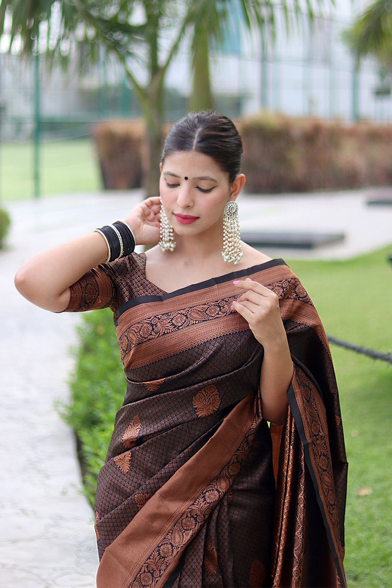 Fantabulous Black Soft Banarasi Silk Saree With Energetic Blouse Piece - Colorful Saree