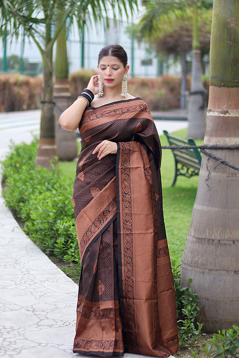 Fantabulous Black Soft Banarasi Silk Saree With Energetic Blouse Piece - Colorful Saree