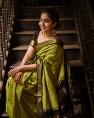 Glittering Mehndi Soft Banarasi Silk Saree With Unequalled Blouse Piece - Colorful Saree