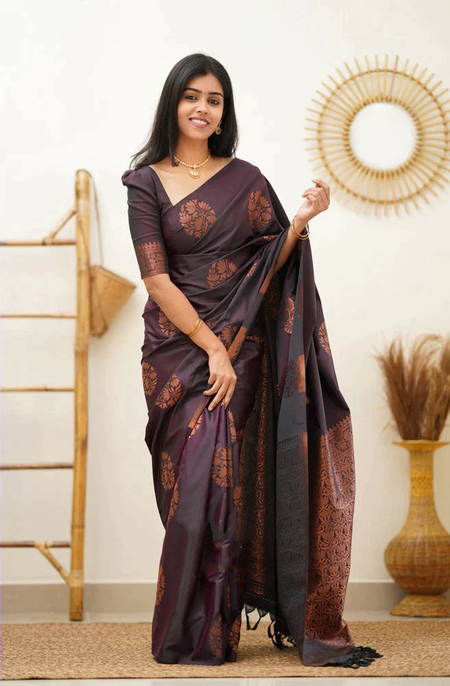 Chatoyant Purple Soft Silk Saree With Scrumptious Blouse Piece - Colorful Saree