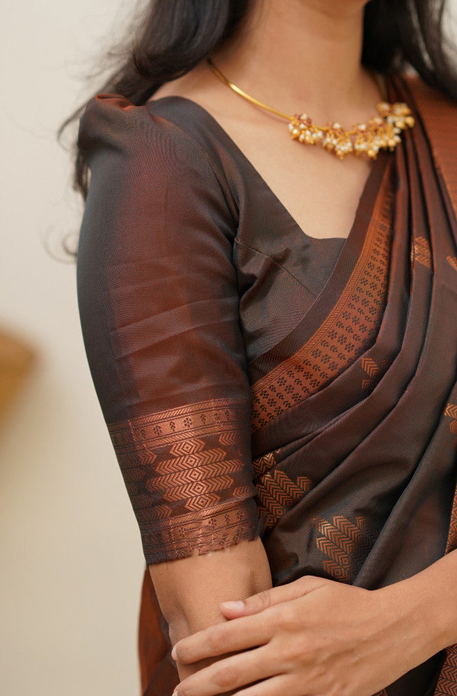 Gleaming Brown Soft Silk Saree With Flaunt Blouse Piece - Colorful Saree