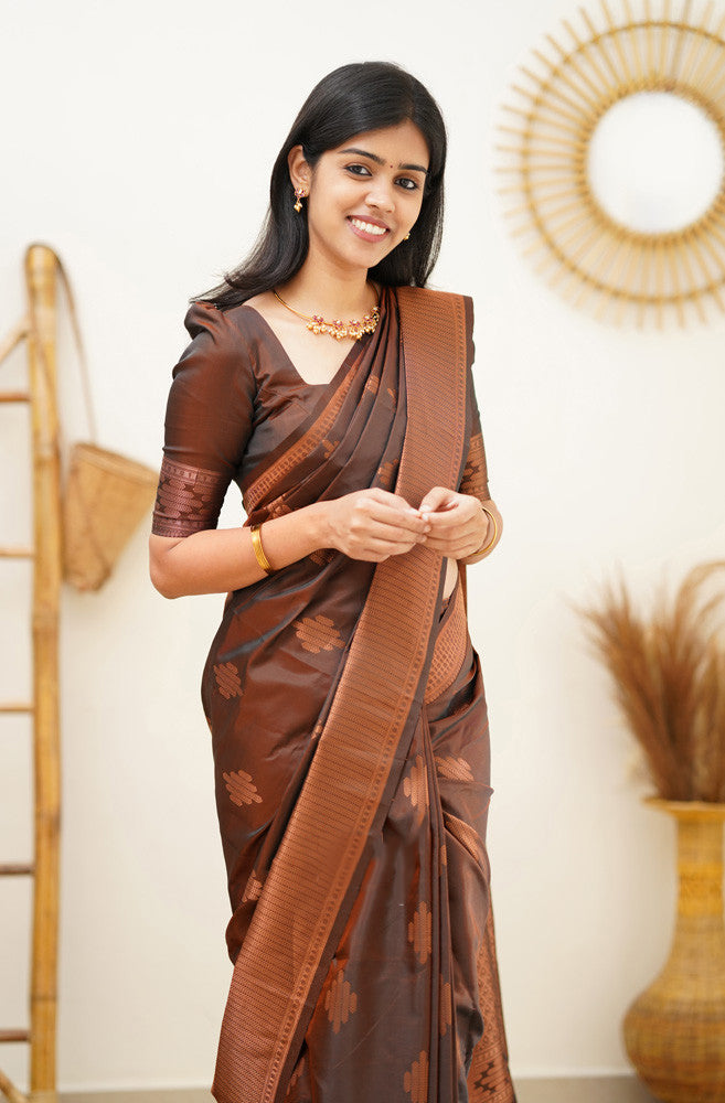 Gleaming Brown Soft Silk Saree With Flaunt Blouse Piece - Colorful Saree