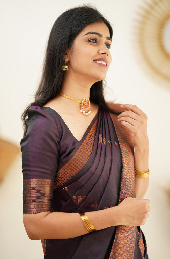 Desiring Purple Soft Silk Saree With Engrossing Blouse Piece - Colorful Saree