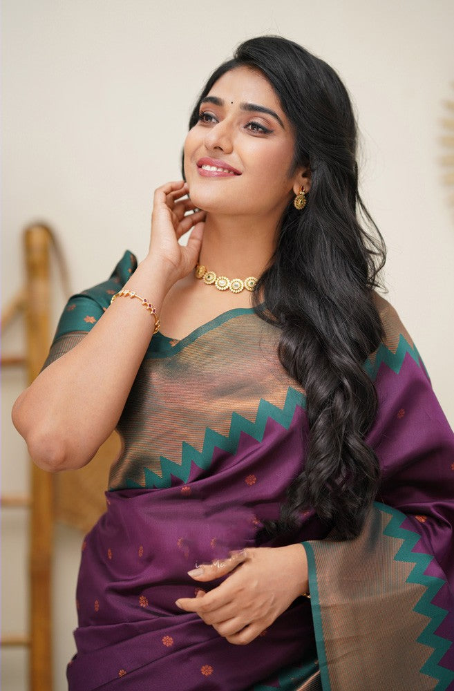 Splendorous Purple Soft Silk Saree with Fugacious Blouse Piece - Colorful Saree