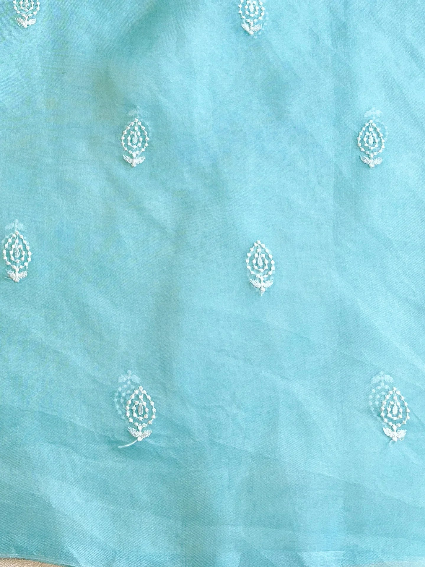 Light Blue Organza Silk Saree with Resham Floral Embroidery Colorful Saree